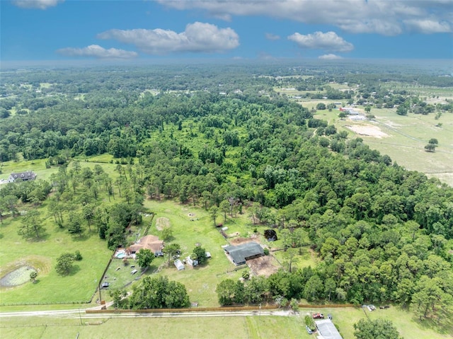 21320 Paradise Way, Eustis, FL 32736 - aerial overview of property's location with a forest