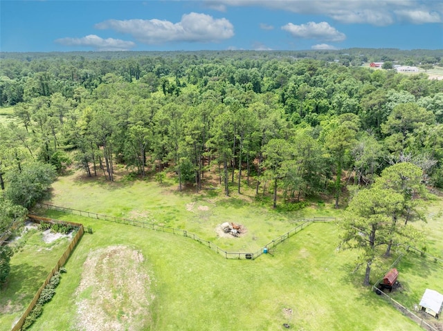 21320 Paradise Way, Eustis, FL 32736 - aerial view of sparsely populated area with a heavily wooded area