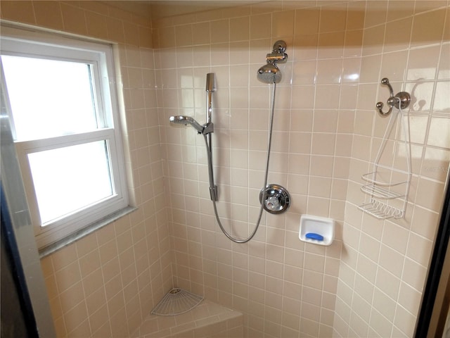 751 Old Oaks Ln, Leesburg, FL 34748 - bathroom featuring plenty of natural light and tiled shower