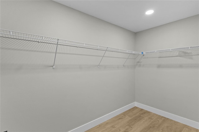 1115 W Geneva Pl, Citrus Springs, FL 34434 - walk in closet with light wood finished floors