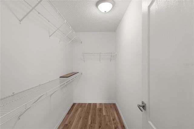 1313 Arredondo Dr, The Villages, FL 32162 - spacious closet with light wood-style floors