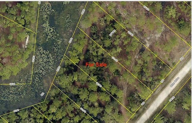 Otter Dr, Webster, FL 33597