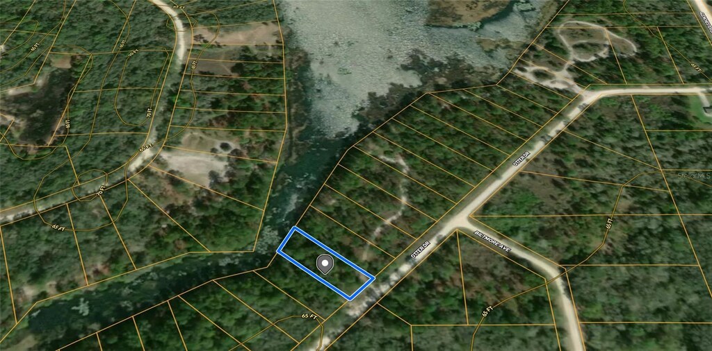 Otter Dr, Webster, FL 33597