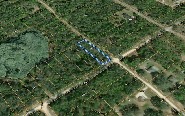 Smallman St, Webster, FL 33597 - photo 1
