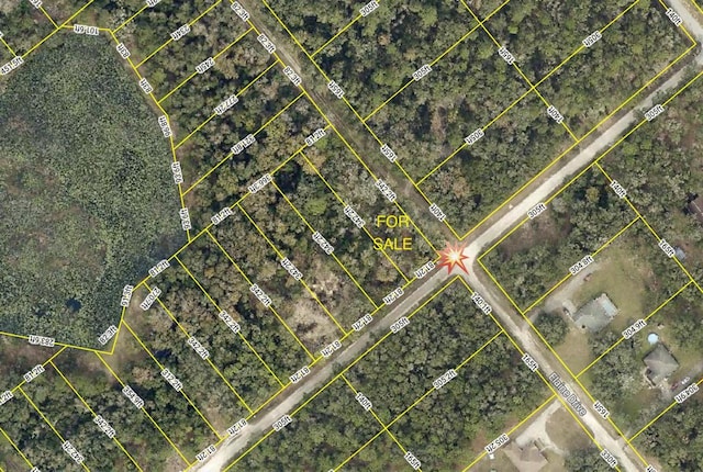 Smallman St, Webster, FL 33597 - photo 2