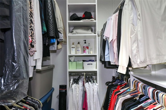 11868 SE 91st Cir, Summerfield, FL 34491 - view of spacious closet