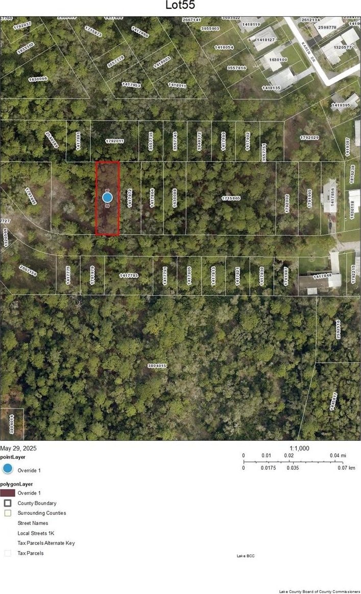 LOT55 Karen Dr, Mount Dora, FL 32757 - photo 1