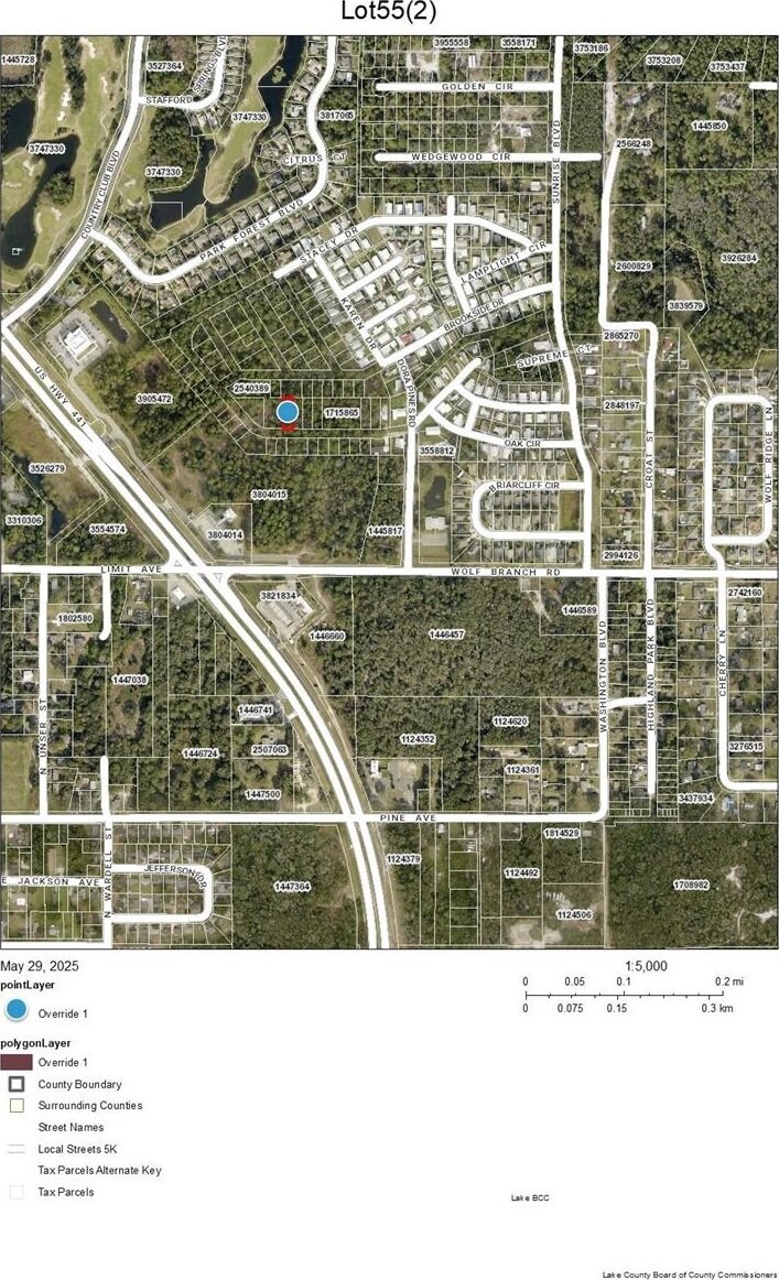 LOT55 Karen Dr, Mount Dora, FL 32757 - photo 2