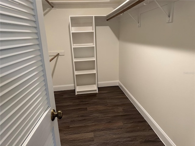 2450 Sweetwater Country Club Dr, Apopka, FL 32712 - spacious closet featuring dark wood-style floors