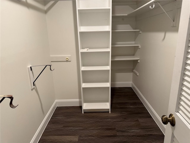 2450 Sweetwater Country Club Dr, Apopka, FL 32712 - spacious closet with dark wood-style floors