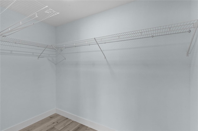 472 Malauka Radl, Ocklawaha, FL 32179 - walk in closet featuring light wood-style floors