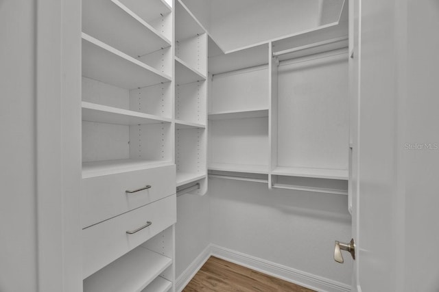 5556 Vintage View Blvd, Lakeland, FL 33812 - walk in closet with wood finished floors