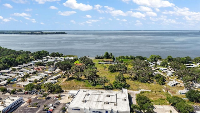 32311 Anglers Ave, Leesburg, FL 34788 - photo 3