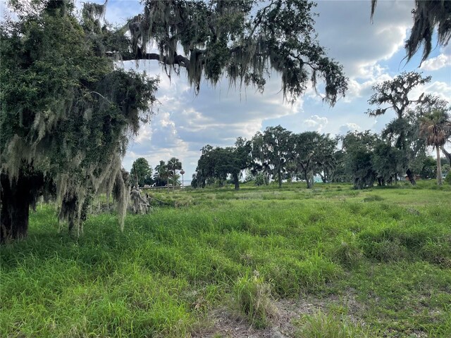 32311 Anglers Ave, Leesburg, FL 34788 - photo 6