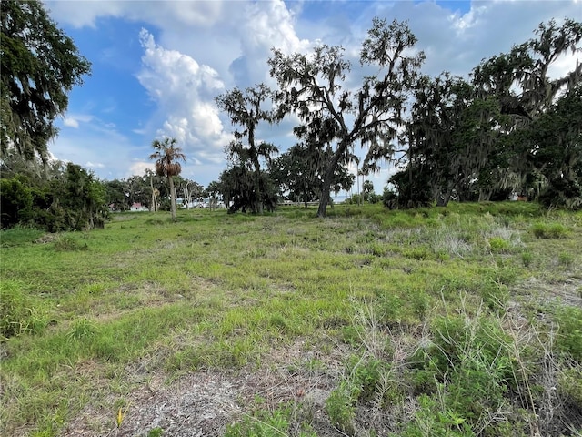 32311 Anglers Ave, Leesburg, FL 34788 - photo 9