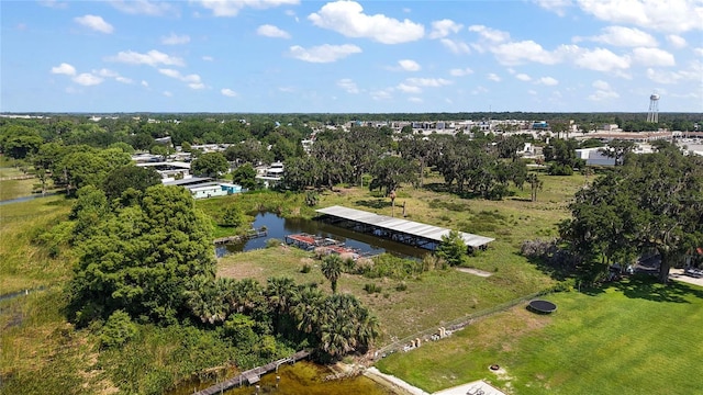 32311 Anglers Ave, Leesburg, FL 34788 - photo 19