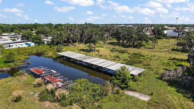 32311 Anglers Ave, Leesburg, FL 34788 - photo 21
