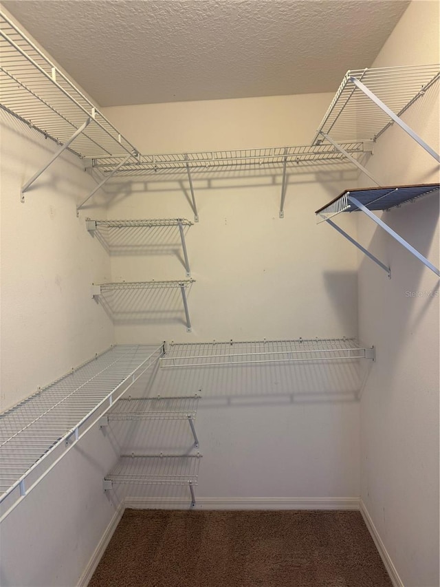 2530 Hanlon Ter, The Villages, FL 32162 - walk in closet featuring carpet flooring