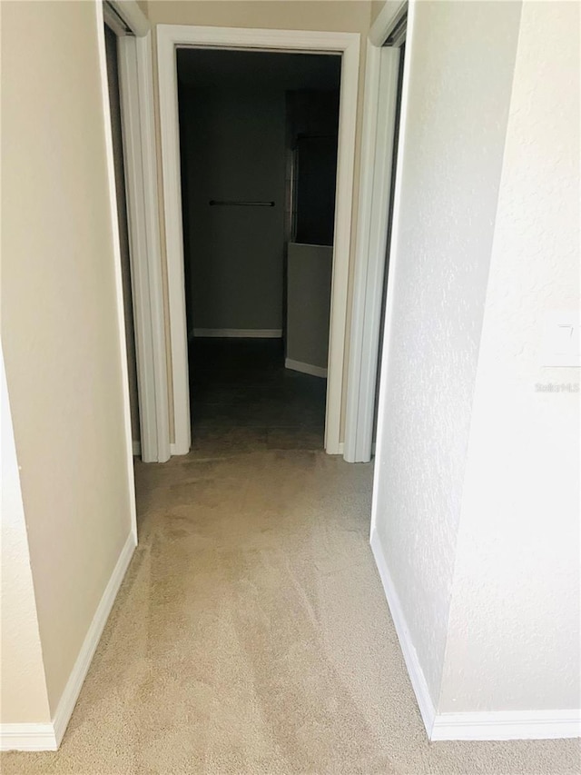 4002 SW 158th Street Rd, Ocala, FL 34473 - photo 11