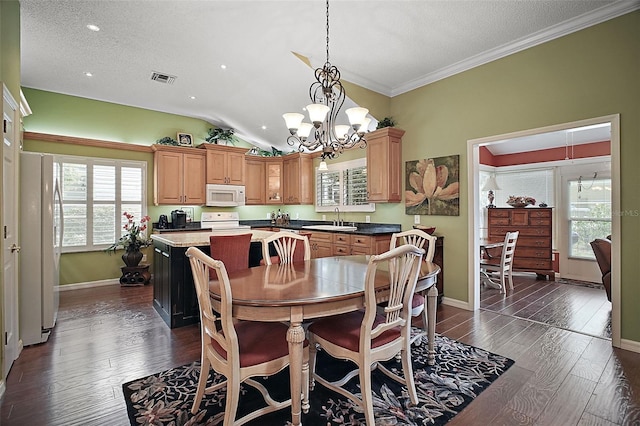 215 Chula Vista Ave, The Villages, FL 32159 - dining room with a chandelier, dark wood-type flooring, baseboards, lofted ceiling, and a textured ceiling