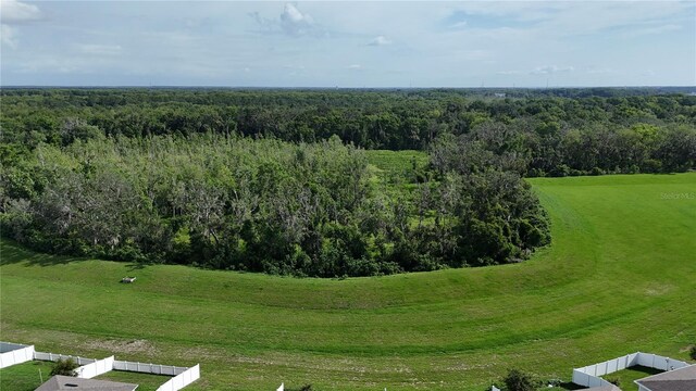 29810 Anahid Dr, Leesburg, FL 34748 - photo 59