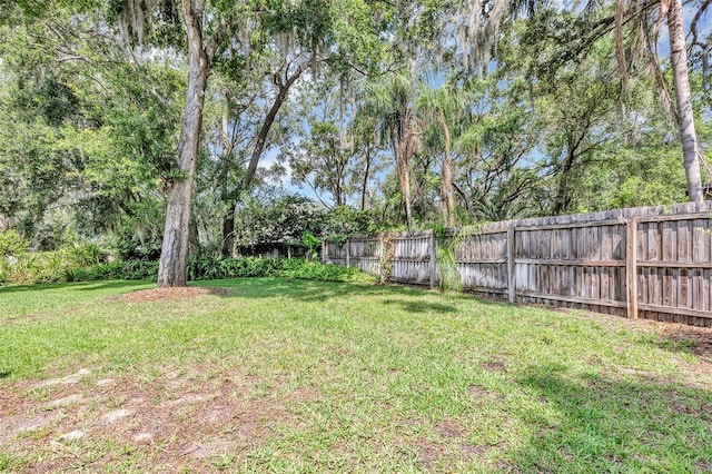 34231 Shadewood Cir, Leesburg, FL 34788 - view of yard
