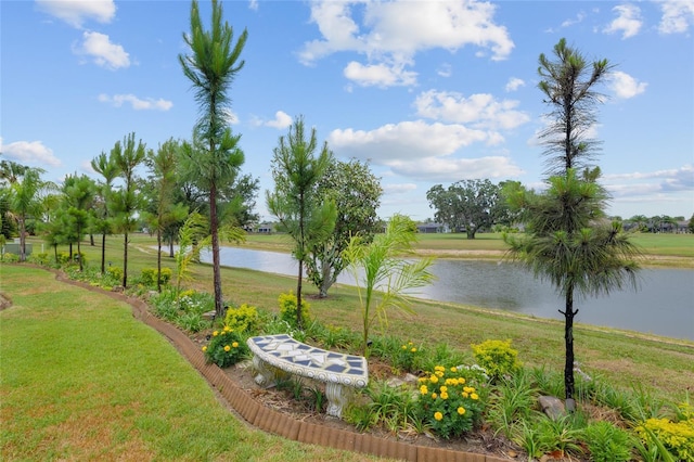 3097 Bureau Path, The Villages, FL 32163 - view of grassy yard with a water view