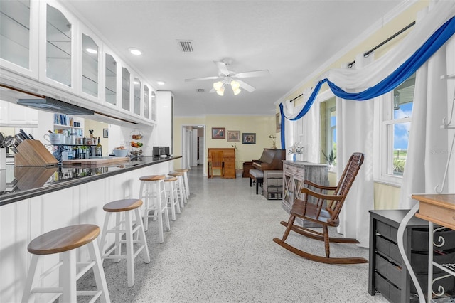 101 Lakeshore Blvd, Saint Cloud, FL 34769 - kitchen featuring white cabinetry, dark speckled floor, glass insert cabinets, a breakfast bar area, and a ceiling fan