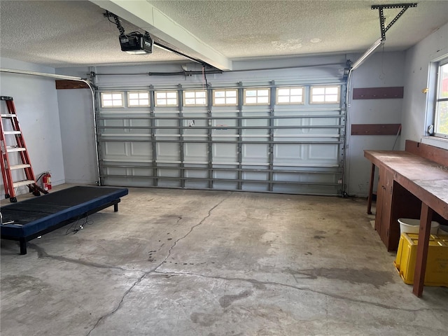 11812 Watts Ct, Tavares, FL 32778 - garage with a garage door opener