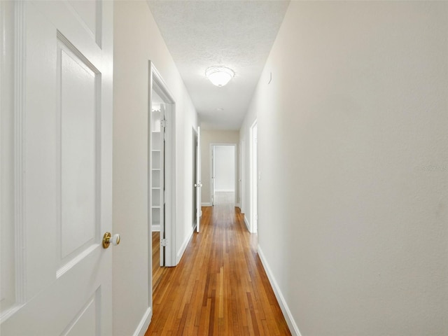 9269 Silver Lake Dr, Leesburg, FL 34788 - hallway with light wood-style flooring, baseboards, and a textured ceiling