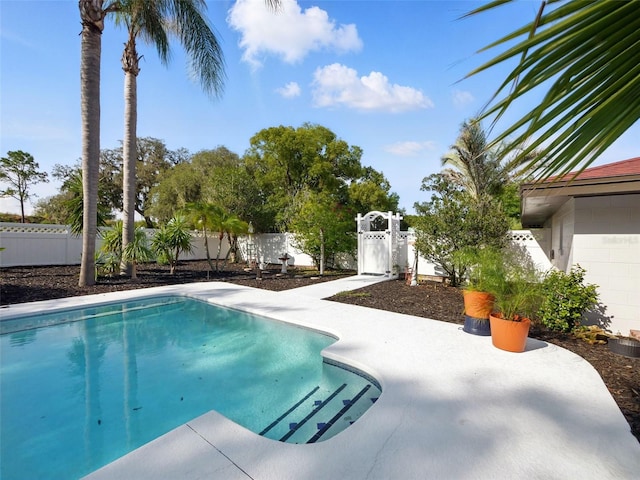 9269 Silver Lake Dr, Leesburg, FL 34788 - view of pool featuring a fenced backyard and a patio