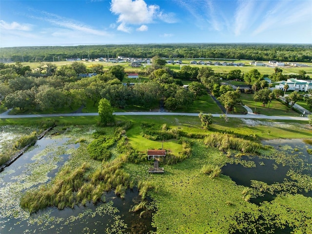 9269 Silver Lake Dr, Leesburg, FL 34788 - aerial overview of property's location with a large body of water and a tree filled landscape