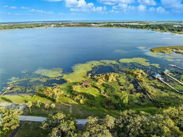 9269 Silver Lake Dr, Leesburg, FL 34788 - aerial overview of property's location with a large body of water