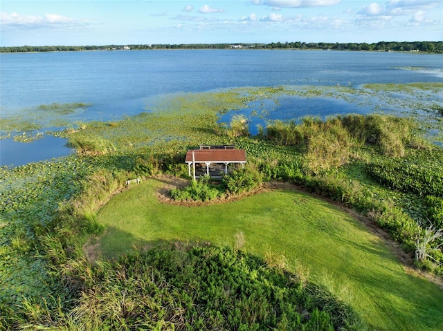 9269 Silver Lake Dr, Leesburg, FL 34788 - view from above of property featuring a nearby body of water