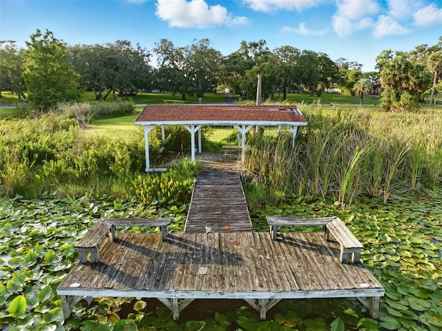 9269 Silver Lake Dr, Leesburg, FL 34788 - view of property's community featuring a gazebo and view of scattered trees