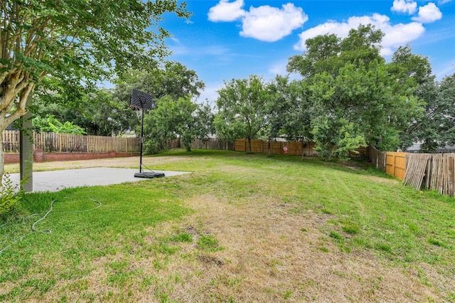 107 Wekiva Pointe Cir, Apopka, FL 32712 - view of yard
