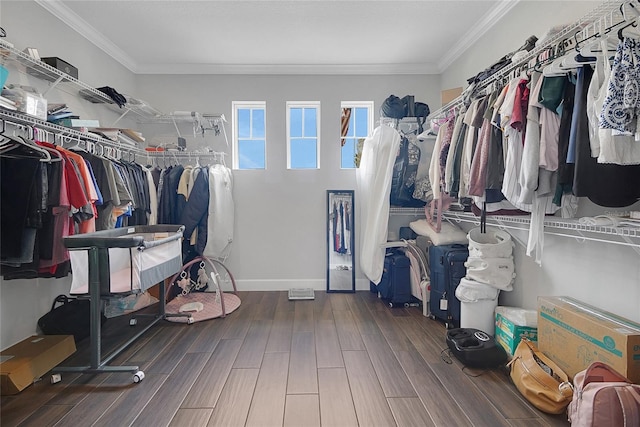 14501 Wabasso Loop, Winter Garden, FL 34787 - spacious closet with wood finished floors