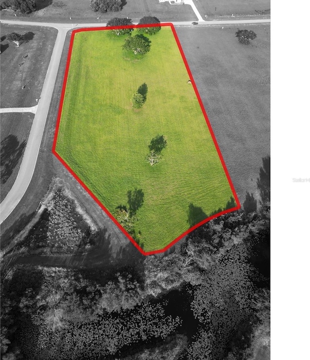 6001 Pretty Ranch Rd, Groveland, FL 34736 - photo 5