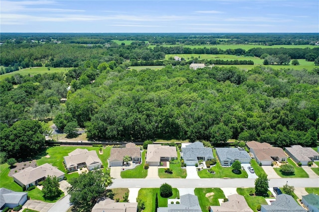 8377 SE 177th Bartram Loop, The Villages, FL 32162 - photo 44