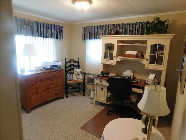 146 Hibiscus Way, Leesburg, FL 34748 - office area with crown molding and light carpet