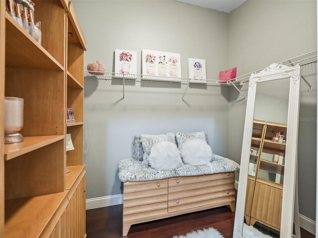 17324 SE 82nd Pecan Ter, The Villages, FL 32162 - spacious closet with dark wood-style flooring