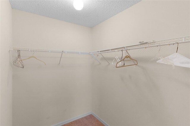 1116 San Bernardo Rd, The Villages, FL 32162 - spacious closet with carpet