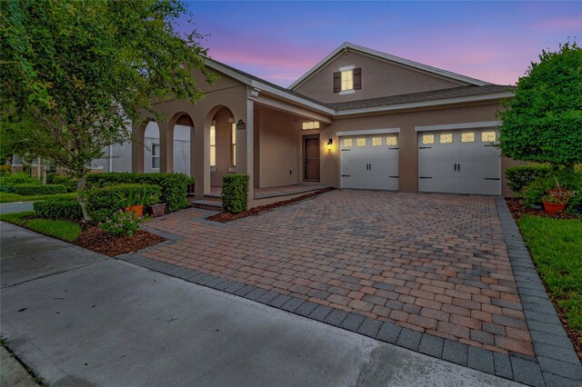 15531 Waterleigh Cove Dr, Winter Garden, FL 34787 - traditional home with stucco siding, driveway, and a garage