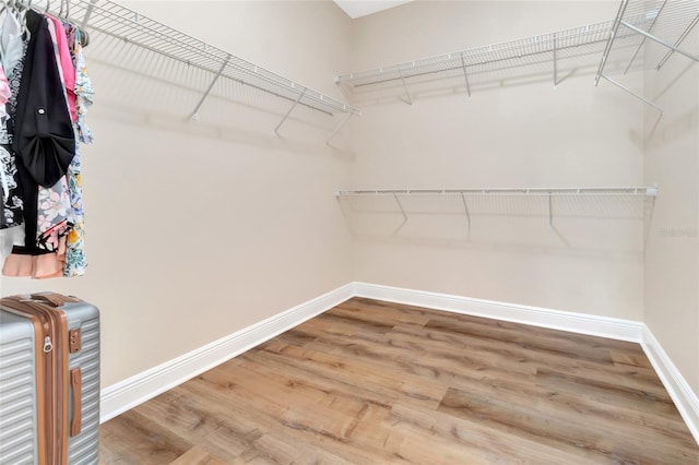 15531 Waterleigh Cove Dr, Winter Garden, FL 34787 - walk in closet with wood finished floors