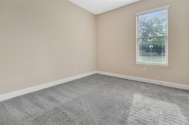 15531 Waterleigh Cove Dr, Winter Garden, FL 34787 - carpeted empty room featuring plenty of natural light