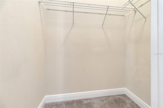 15531 Waterleigh Cove Dr, Winter Garden, FL 34787 - walk in closet with carpet flooring