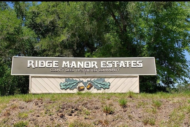 Hardstone Dr, Webster, FL 33597