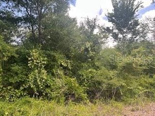 Hardstone Dr, Webster, FL 33597