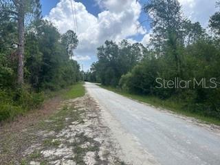 Hardstone Dr, Webster, FL 33597