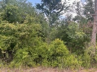 Hardstone Dr, Webster, FL 33597
